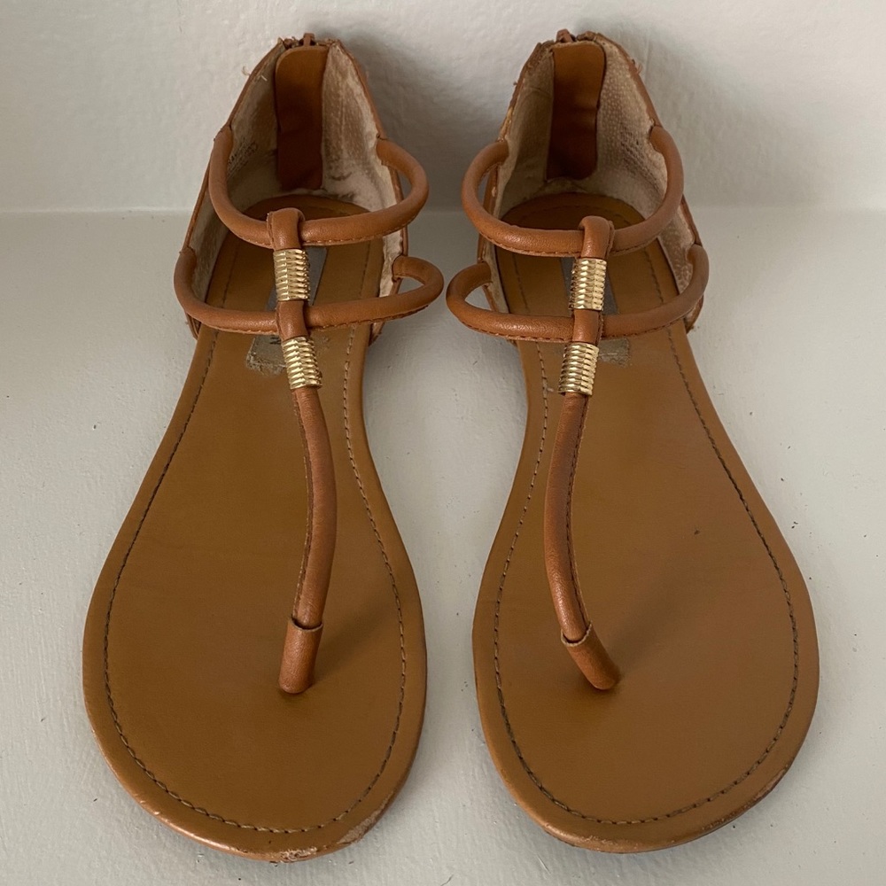 STEVE MADDEN Brown Sandals with Gold Metal Detail